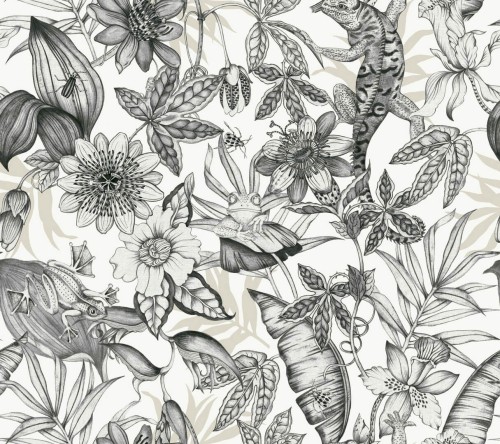 Tapeta tropikalna York Wallcoverings BL1703 Rainforest Blooms II