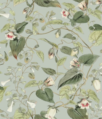 Tapeta kwiatowe pnącza York Wallcoverings BL1712 Moon Flower Blooms II