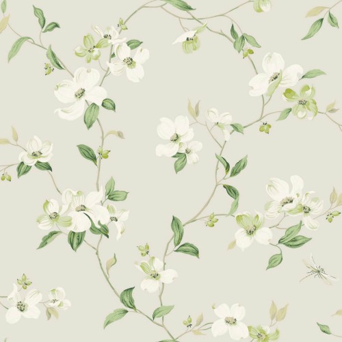 Tapeta delikatne pnącza kwiatów York Wallcoverings BL1762 Dogwood Blooms II
