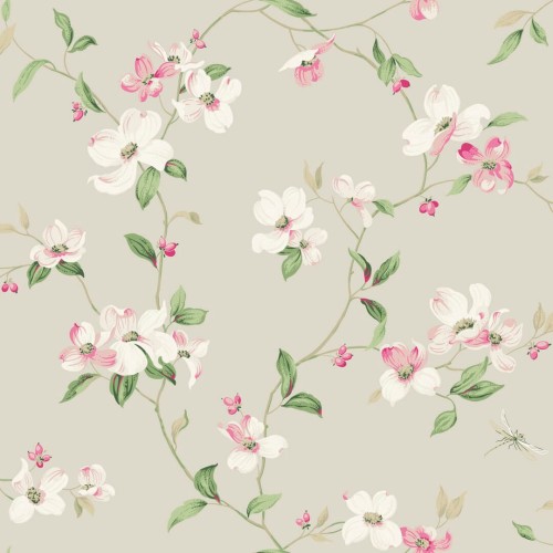 Tapeta delikatne pnącza kwiatów York Wallcoverings BL1763 Dogwood Blooms II