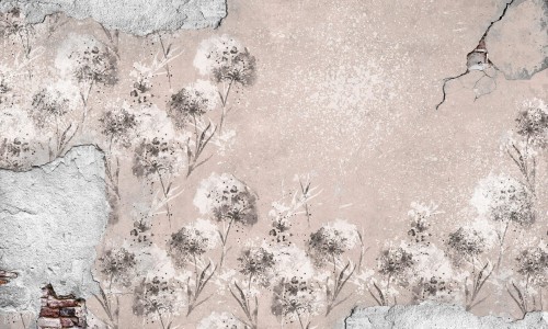 Fototapeta dmuchawce i betonowa ściana Wonderwall Enigma 35040806