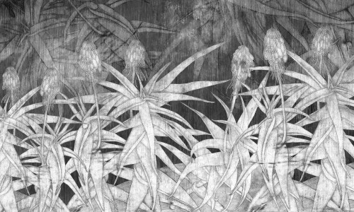 Fototapeta roślinna Wonderwall Estrella 35078301