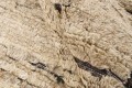 Dywan nowoczesny Landscape Straw Carmel Reza's 