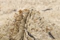 Dywan nowoczesny Landscape Straw Carmel Reza's 