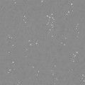 Tapeta minimalistyczna Villa Nova W627/02 Ditto Kyra Cane Wallcoverings