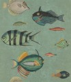 Mural ryby Mind the Gap POISSONS WP20181 Premium Designer Wallpaper Collection