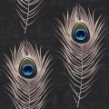 Mural pawie pióra Mind the Gap PEACOCK WP20230 Premium Designer Wallpaper Collection