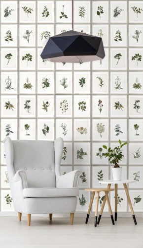 Mural zielnik Mind the Gap BOTANY WP20153 Premium Designer Wallpaper Collection