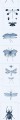 Mural owady Mind the Gap ENTOMOLOGY Blue WP20235 Premium Designer Wallpaper Collection
