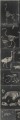 Mural szkielety zwierząt Mind the Gap ZOOARCHELOGY Anthracite WP20237 Premium Designer Wallpaper Collection