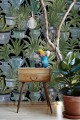 Mural sukulenty w doniczkach Mind the Gap ECHEVERIA WP20163 Premium Designer Wallpaper Collection