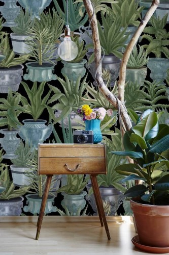 Mural sukulenty w doniczkach Mind the Gap ECHEVERIA WP20163 Premium Designer Wallpaper Collection