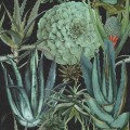 Mural egzotyczna roślinność Mind the Gap SUCCULENTUS Anthracite WP20167 Premium Designer Wallpaper Collection