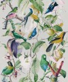 Mural papugi Mind the Gap TROPICAL BIRDS WP20172 Premium Designer Wallpaper Collection