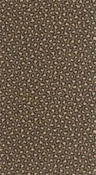 Tapeta cętki Caselio WILD 104942239 Sumatra Stay Wild