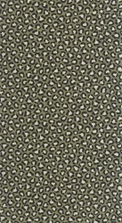 Tapeta cętki Caselio WILD 104947923 Sumatra Stay Wild