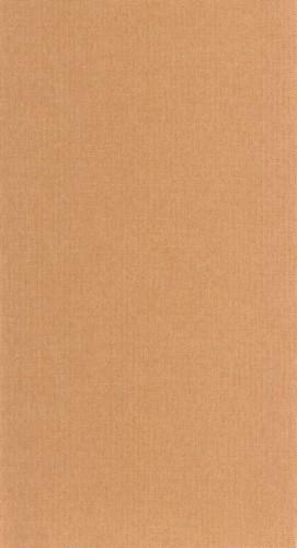 Tapeta teksturowana Caselio WILD 104992328 Uni Mat Stay Wild