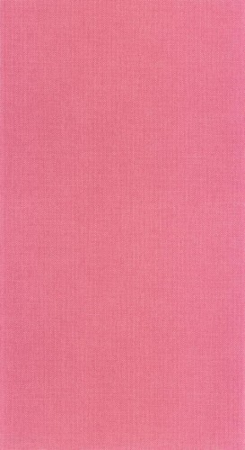 Tapeta teksturowana Caselio WILD 104994003 Uni Mat Stay Wild