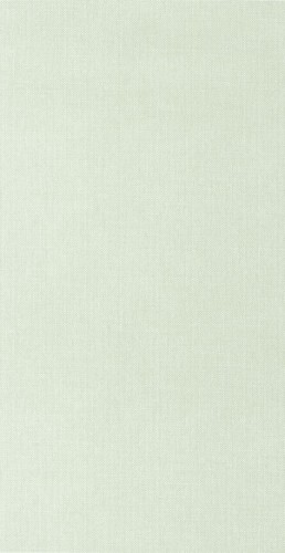 Tapeta teksturowana Caselio WILD 104997013 Uni Mat Stay Wild