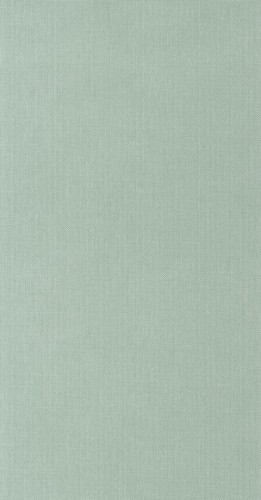 Tapeta teksturowana Caselio WILD 104997134 Uni Mat Stay Wild