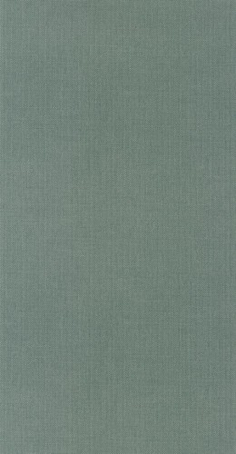 Tapeta teksturowana Caselio WILD 104997312 Uni Mat Stay Wild