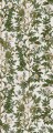 Fototapeta pnącza róż Rebel Walls R18704 Rose Hip Green Cottage Core