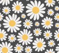 Fototapeta stokrotki retro Rebel Walls R19580 Dashing Daisies Midnight Cottage Core