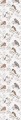Tapeta ptaszki Birds White-Gray Dekornik DEKO.TAP.076