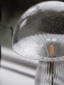 Lampa stołowa jak grzybek 621255 Fungo 30 Special Edition Clear Globen
