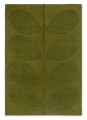 Dywan liście zielony retro SOLID STEM FERN 158307 Orla Kiely