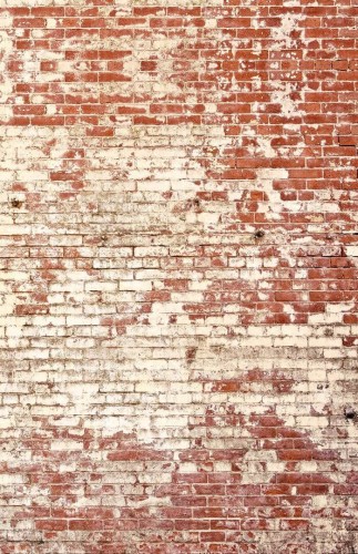 Mural cegła Caselio PMW 103438204 L Poetic Wall Pimp My Wall