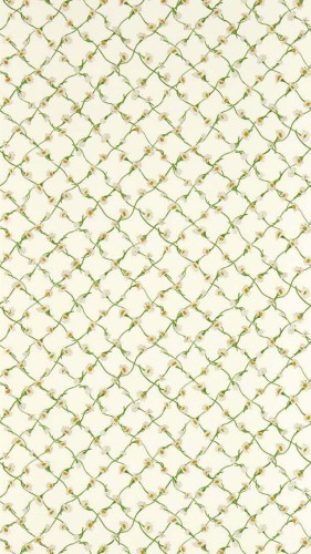 Tapeta stokrotkowy treliaż Harlequin 113043 Daisy Trellis Sophie Robinson