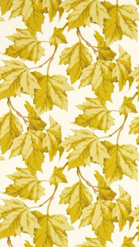 Tapeta liście Harlequin 113046 Dappled Leaf Sophie Robinson