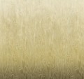 Mural efekt mory jedwabiu cieniowany Khroma DG4MOI1013 Moire Wall Designs IV