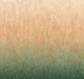 Mural efekt mory jedwabiu cieniowany Khroma DG4MOI1081 Moire Wall Designs IV