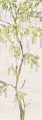 Mural drzewo Khroma DG4PAT1033 Patio Wall Designs IV