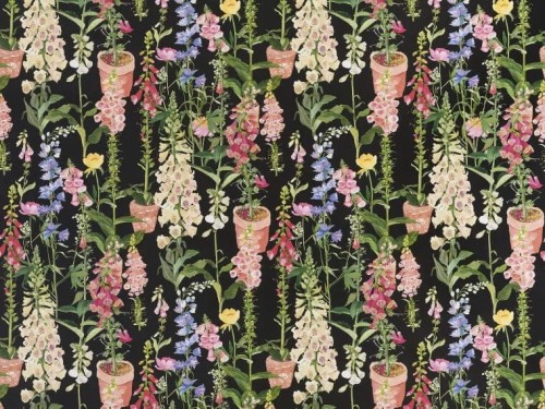 Tapeta kwiaty w doniczkach Pierre Frey FP759002 Les Digitales Veranda by Caspari