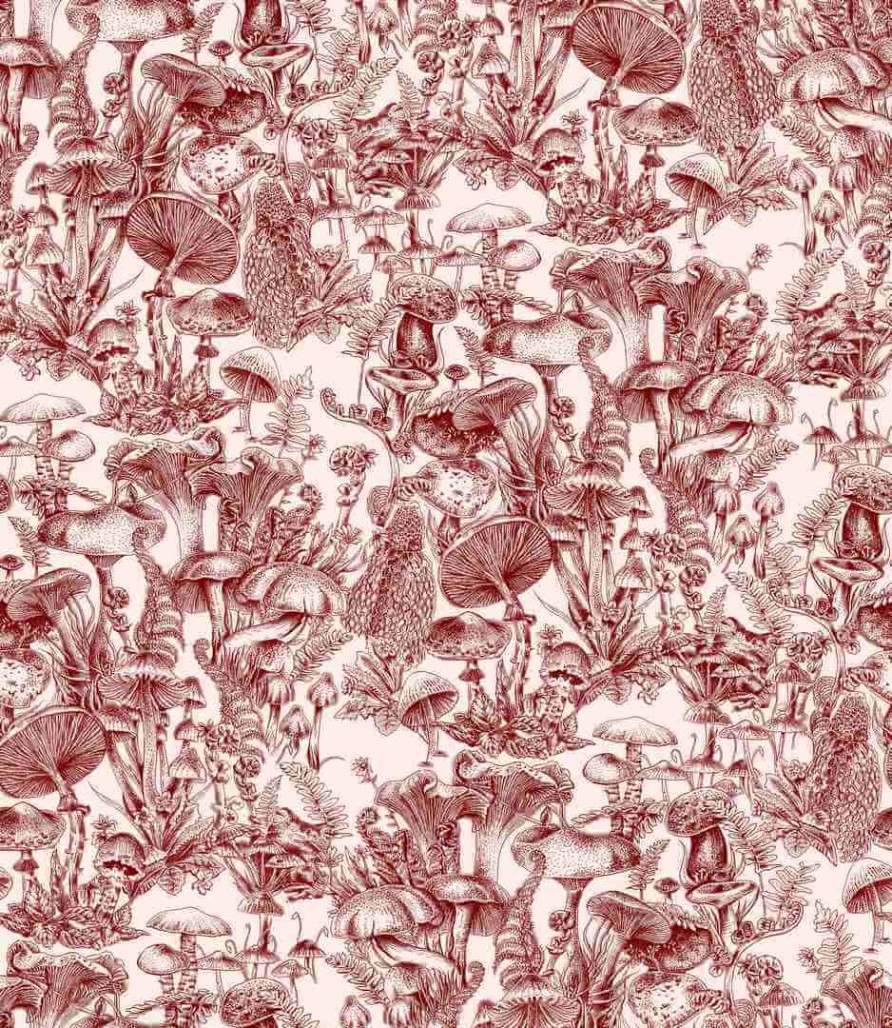 Stella McCartney x Cole & Son_122-1001(1).jpg