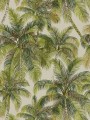Tapeta palmy Pierre Frey FP565001 Tampa Rendez-Vous