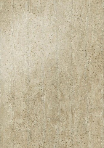 Tapeta metaliczna tynk Arte Alepine 60134 Metal X Patina