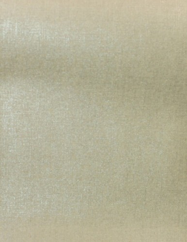 Tapeta płótno Elitis RM617 92 Lin métallisé Lin Platre