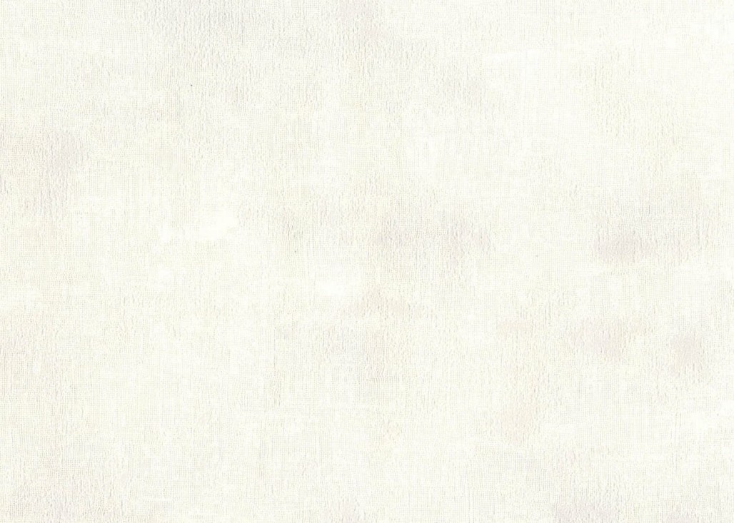 20731.jpg