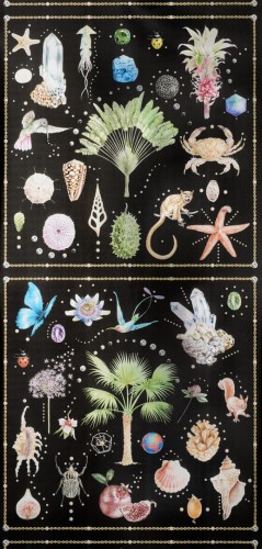 Tapeta zwierzęta, owady, rośliny Pierre Frey FP589001 Curiosites Les Dessins 4