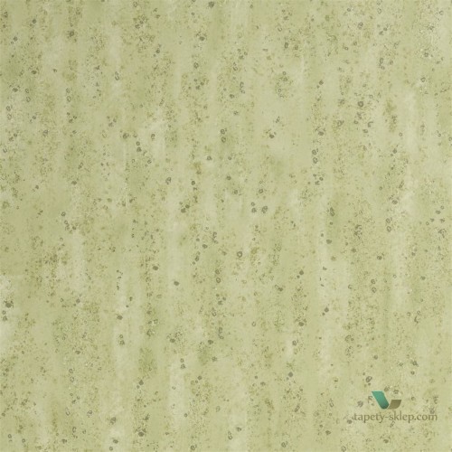 Tapeta Designers Guild PDG1063/05 Shirakawa Zardozi