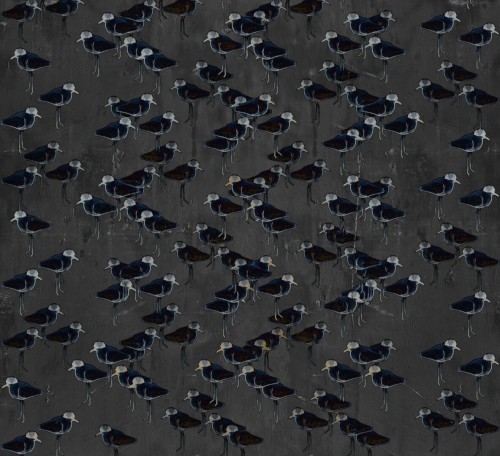 Fototapeta ptaki Wall&Deco WDSG2402 Savanna Grace Contemporary 2024