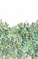 Mural roślinny Caselio GNL2 105410404 L Luxurius Nature Green Life 2