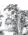 Mural Caselio GNL2 105420905 S The Garden Shed Noir Green Life 2