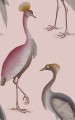 Tapeta czaple Gastón y Daniela GDW-5773-006 Garzas Serendipia