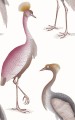 Tapeta czaple Gastón y Daniela GDW-5773-007 Garzas Serendipia