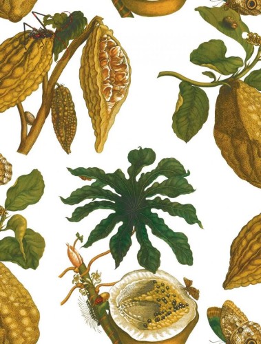 Tapeta egzotyczna Gastón y Daniela GDW-5111-001 AMAZONIA Origen Dos